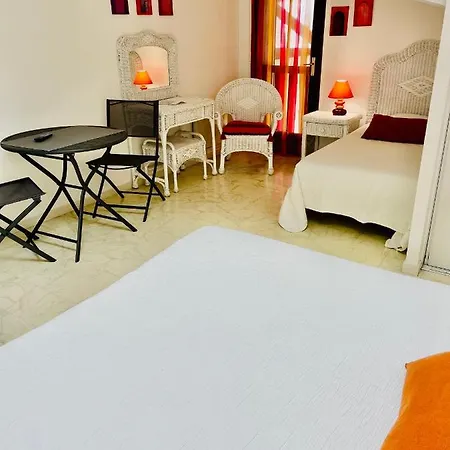 Studio Mansarde Climatise Les Roseaux Bord De Lac Biscarrosse Exterior photo