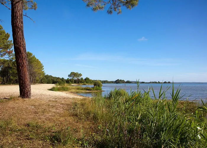 Studio Mansarde Climatise Les Roseaux Bord De Lac