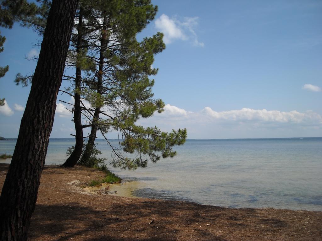 Apartment Mansarde Climatise Les Roseaux Bord De *