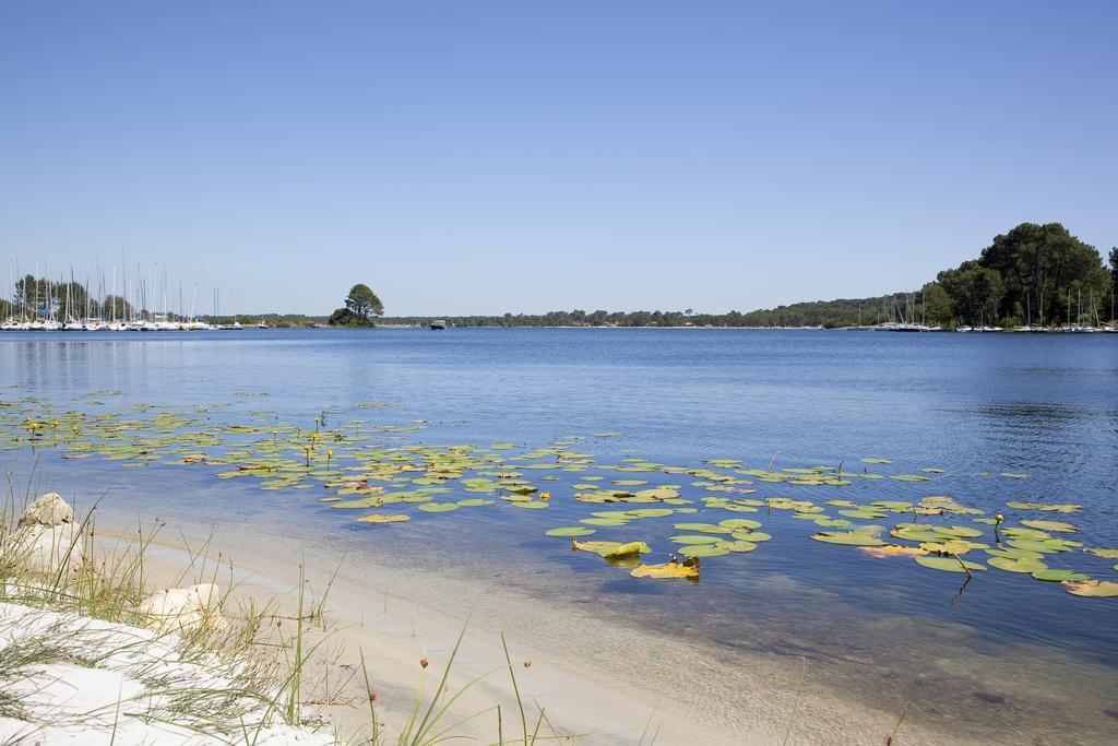 Mansarde Climatise Les Roseaux Bord De *