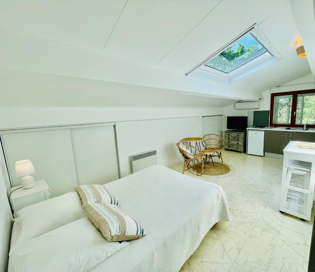 Apartment Mansarde Climatise Les Roseaux Bord De *