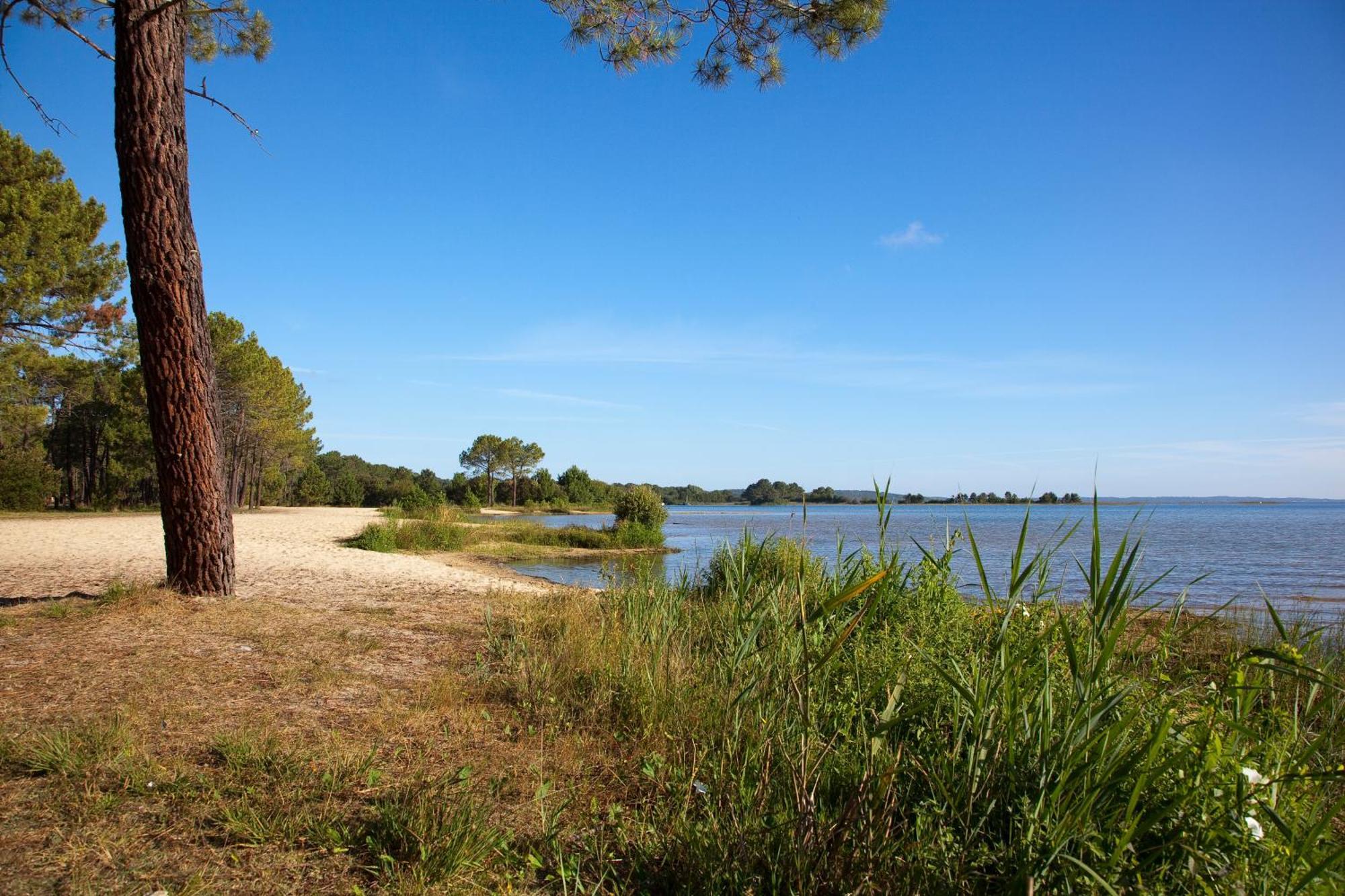 Apartment Mansarde Climatise Les Roseaux Bord De *