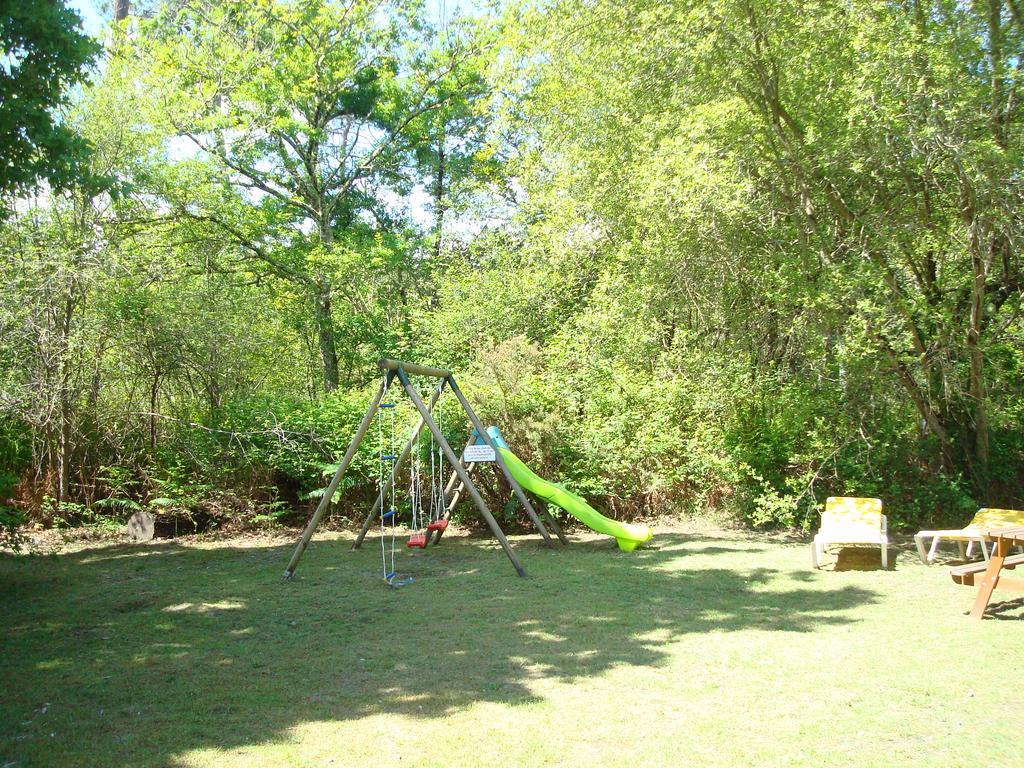 Apartment Mansarde Climatise Les Roseaux Bord De *