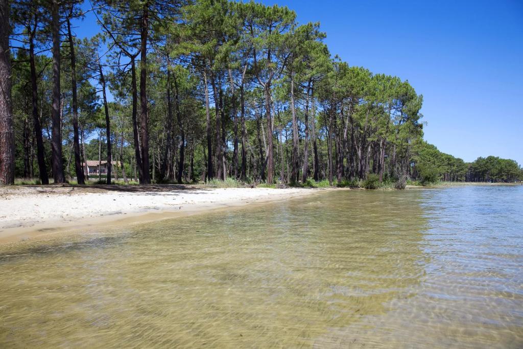 Apartment Mansarde Climatise Les Roseaux Bord De